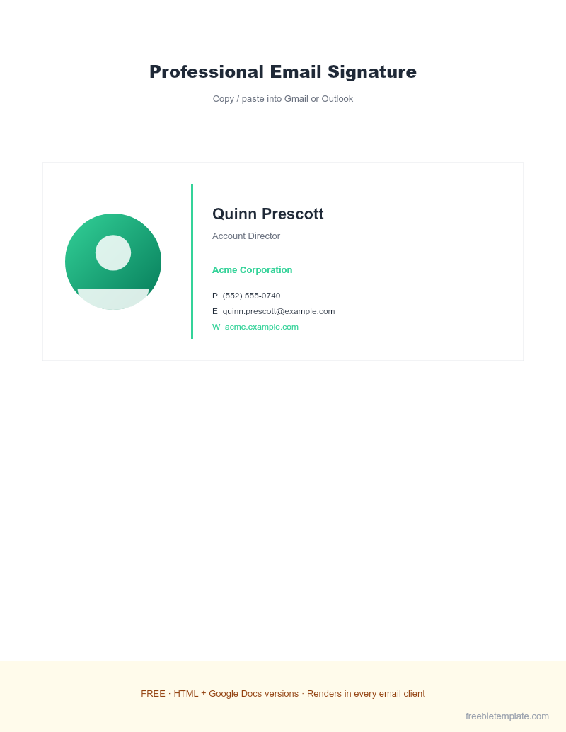 Professional Email Signature preview