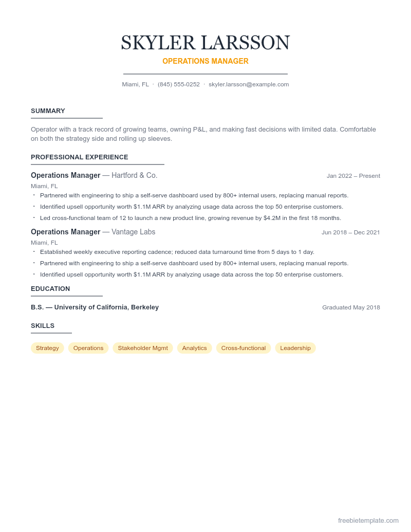 Manager Resume preview