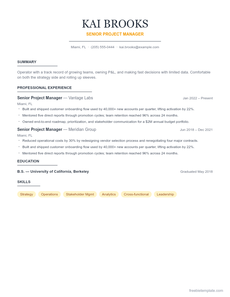 Project Manager Resume preview