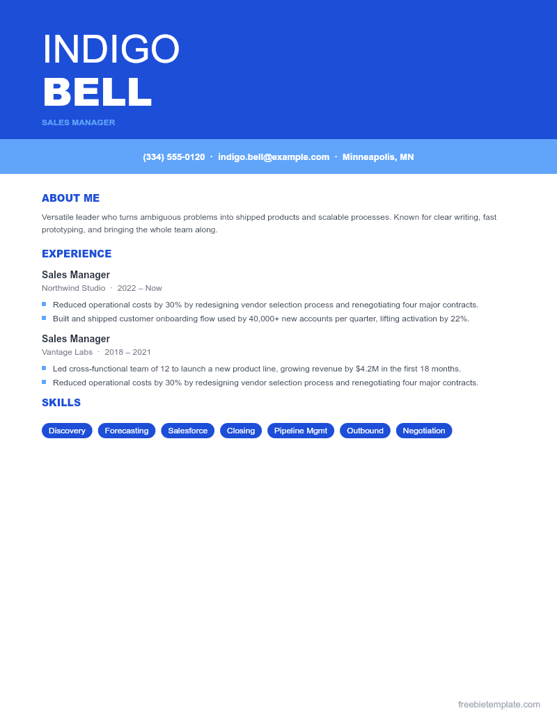 Sales Resume preview